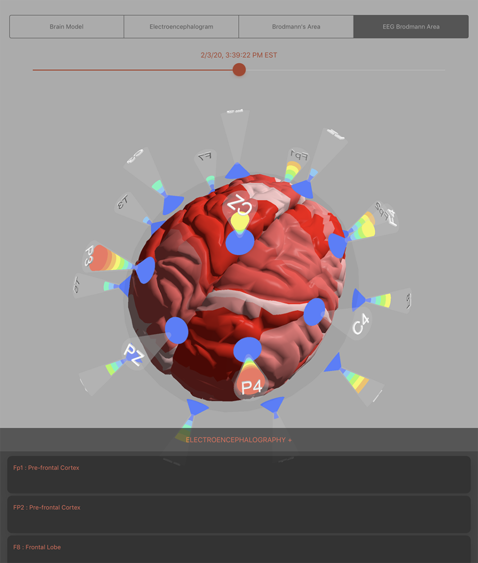 Screenshot of the Brain Data Model 3D on iPad 